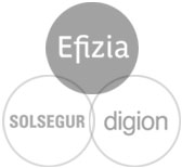 efizia solsegur digion